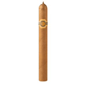 warped la colmena no. 44 stick