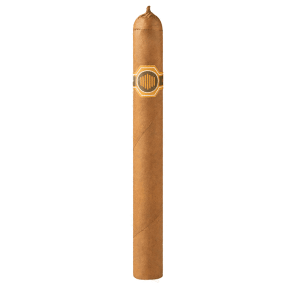 warped la colmena no. 44 stick