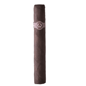 PADRON 5000 MADURO stick