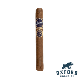 JFR Lunatic Torch Visionaries Stick