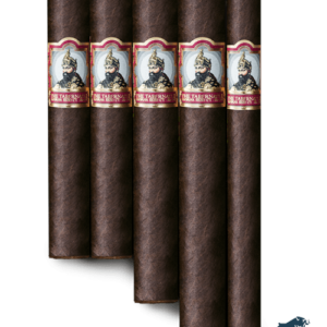 Tabernacle Havana Seed CT No.142 Sizes