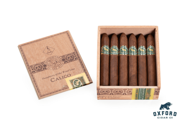 Casdagli DOTW Calico open