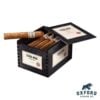 Terra Nova Araperique Short Robusto Box Auction Terra Nova Araperique Robusto Box