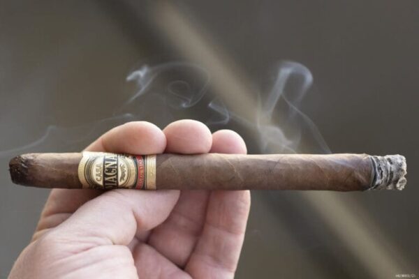 Casa Magna Colorado Lancero 2023 2 768x512 OMwBpF