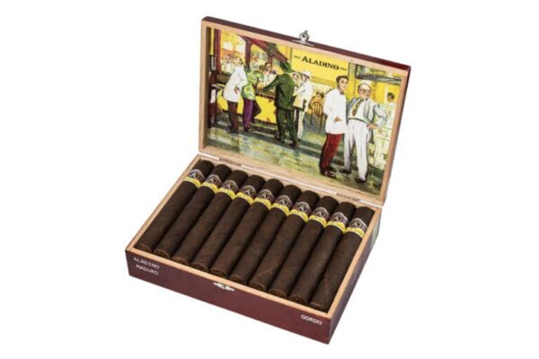 Aladino Maduro Gordo 2 768x512 imPJKg