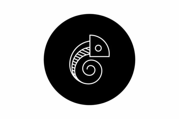 Concealed Carry Cigars 768x512 2sTZAg