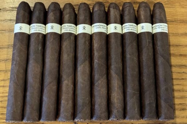 CroMagnon Timeline 2024 Feature 768x512 ofE1li