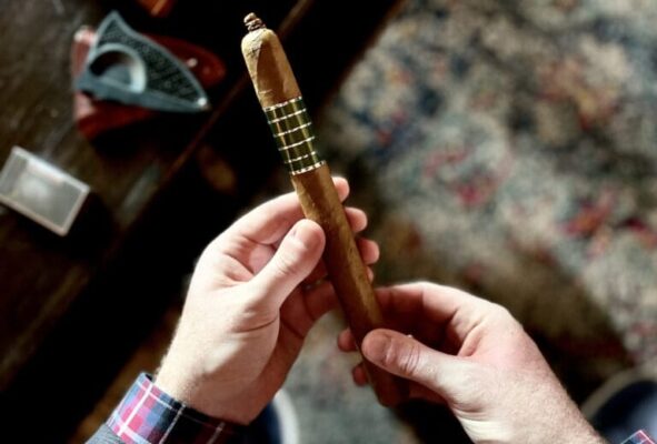 Sans Pareil Green feature 768x520 nolCPa