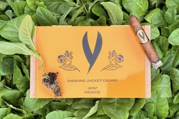 Smoking Jacket Mini Henkie 1 768x512 Y0sTuw