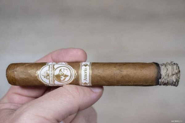 Carlos Maria Amorio Corona Gorda 2 768x512 CJLTOY