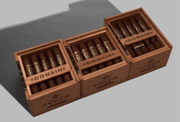 Domain Cigar open boxes feature 768x520 sQCIx6