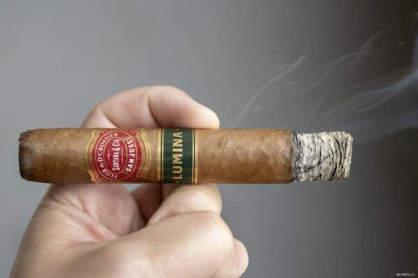 Flor de DCrossier Seleccion Escogida Lumina Robusto 1 768x512 cX6DT9