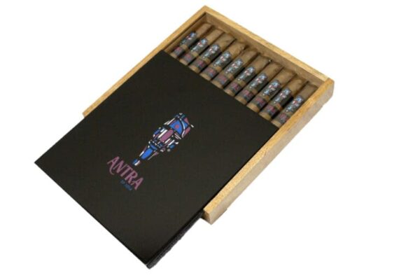 Antra by SP1014 1 768x512 6fUSQB