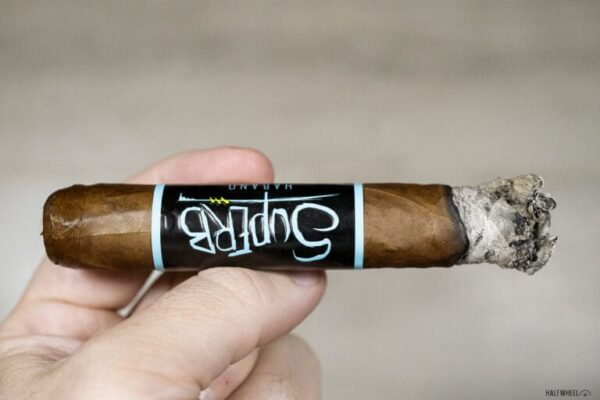 Blackbird Superb Robusto Gordo 1 768x512 tCPFfE