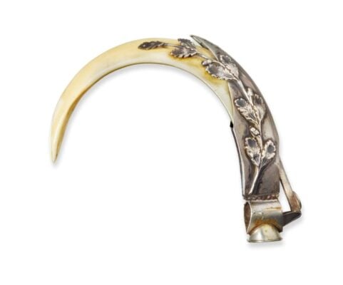 Boar tusk 1024x851 1pIvm5