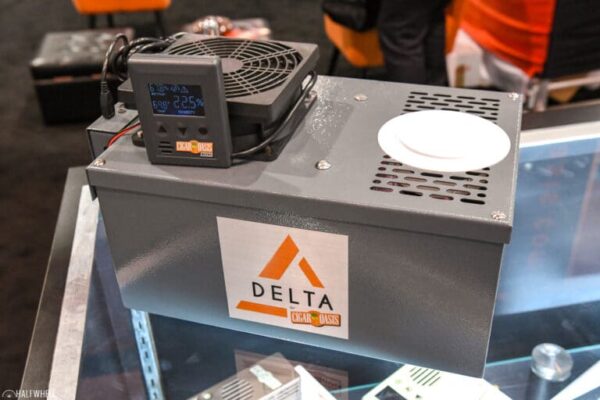 Cigar Oasis Delta 1 768x512 FCnSxi