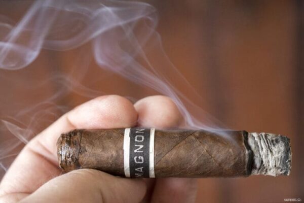 CroMagnon Knuckle Dragger 2024 2 768x512 gQmBtu