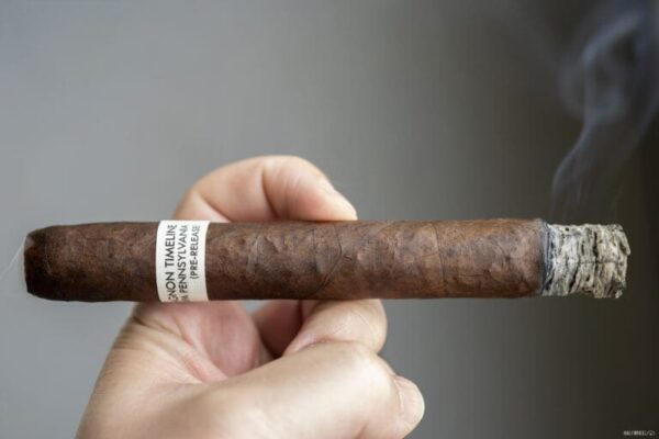 CroMagnon Timeline 2024 2 768x512 nxzoHX