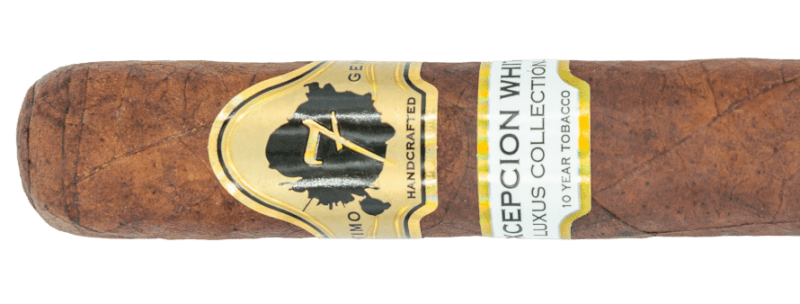 DSC07991 Edit 890x338 uRoYf9