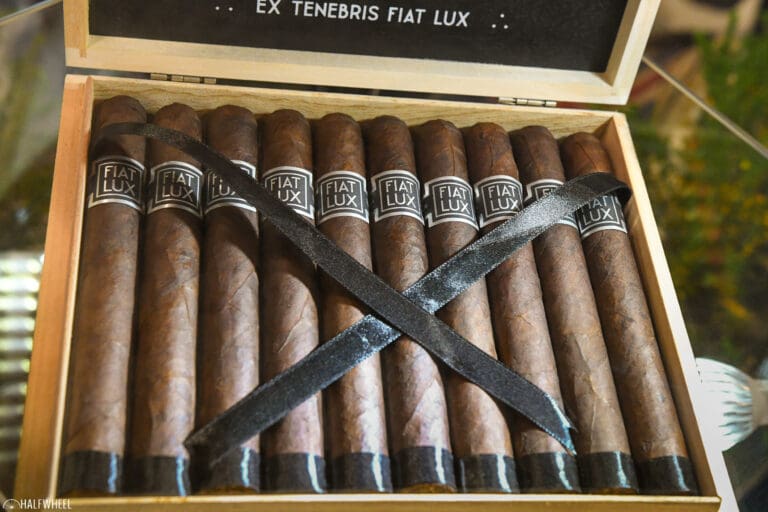 Fiat Lux Tenebrus 768x512 HXXbGe