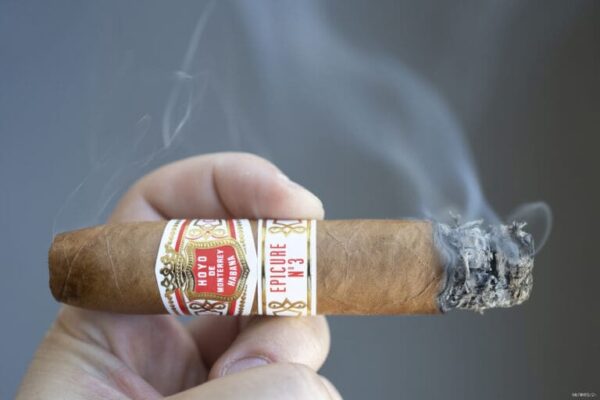 Hoyo de Monterrey Epicure No.3 2 768x512 qb5m4v