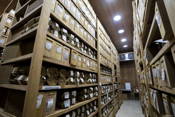 Procigar 2024 Arnold Andre Aging Room 768x512 xX5zbK