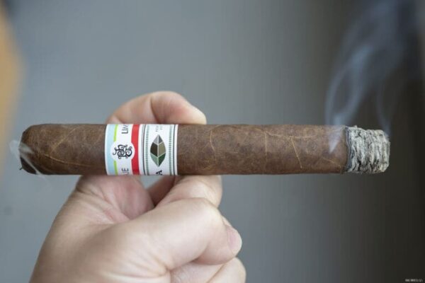 Tatuaje PCA 2023 2 768x512 iyDxij