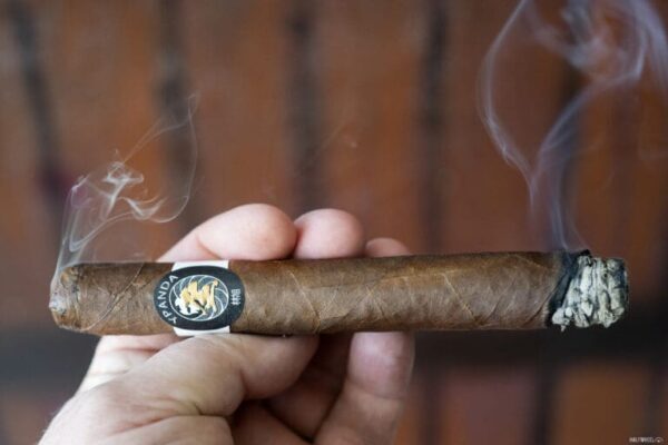 Y Panda Sublime 2 768x512 Upy4ET