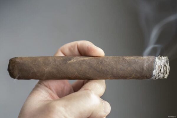 601 La Bomba Warhead X 2 768x512 eTOXOZ