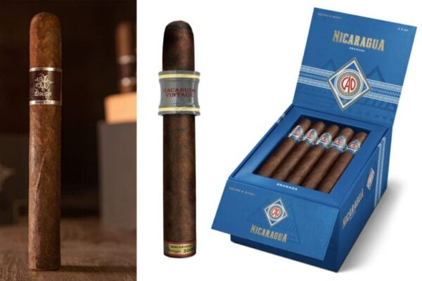 Diesel Disciple Macanudo Vintage 2006 CAO Nicaragua feature 768x512 Y0YqYC