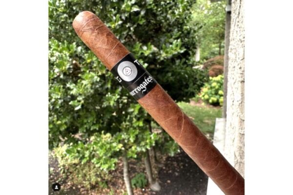 Surrogates Big Ten Limited Lonsdale Extra 768x512 mmRYVj