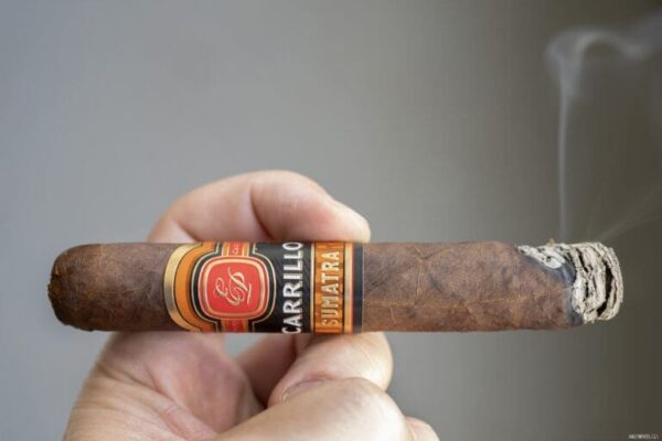 E.P. Carrillo Sumatra Robusto 2 768x512 VdnkG2