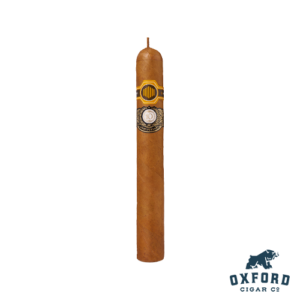 Warped La Colmena 10th Anniversary Amado No. 50 • Oxford