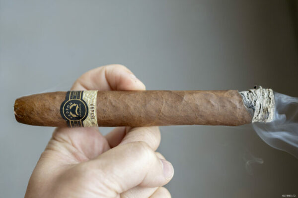 Padron Black BP 97 Natural 2 768x512 fQWzli