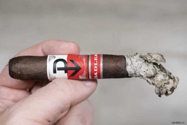 Powstanie Broadleaf Corona Gorda 768x512 MYPK6P