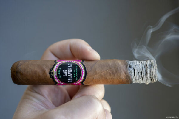 Review Las Calaveras Edicion Limitada 2024 LC52 2 768x512 8seANr