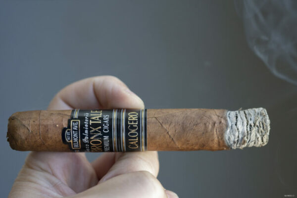 A Bronx Tale Calogero Robusto 2 768x512 q0YCKp