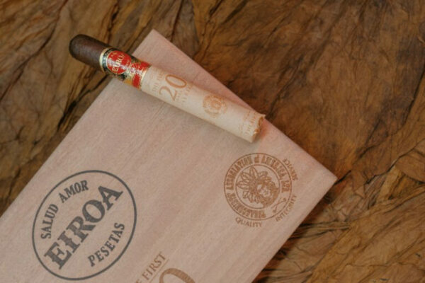 Eiora The First 20 Years TAA Exclusive 2024 768x512 uL3phz