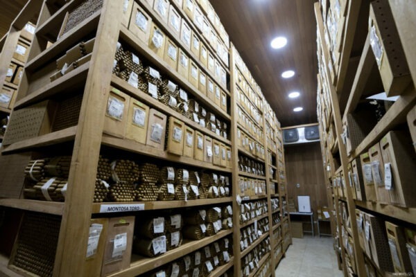 Procigar 2024 Arnold Andre Aging Room 768x512 Ljd5L4