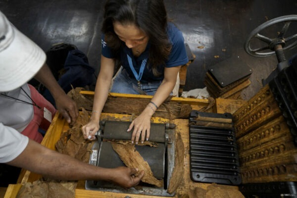 Procigar 2024 Arnold Andre Cigar Rolling demonstration 768x512 eINiZJ