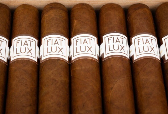 Luciano Fiat Lux beauty feature 768x520 7YkgWH