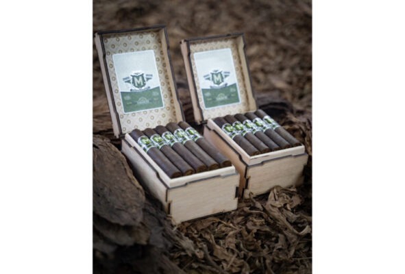Tabanero Cigars Momentum open box feature 768x520 oSuZtc