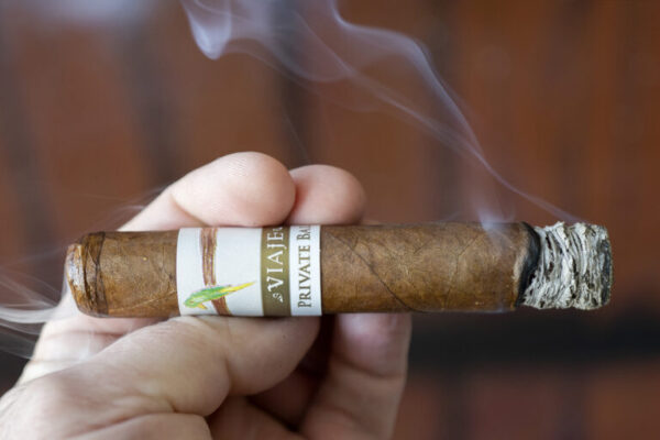 Viaje Private Bale Bird on a Branch Pajarito 2 768x512 QsBbw6