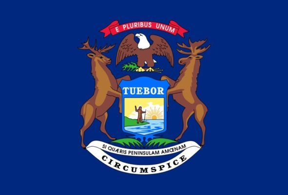 Michigan flag 768x520 KPQObJ