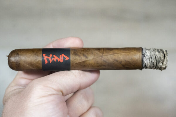 Viaje Gojira 1 768x512 WA0dud