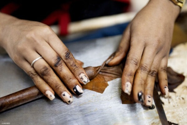 Tabacalera A. Fuente y Cia Nails 2 768x512 KTlDa8