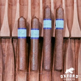 Viaje Forgotten Hours Preferred Retailer Sampler - Full Bodied Nicaraguan Cigar