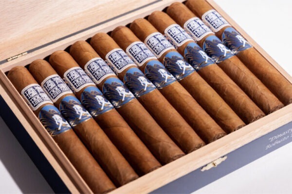 ChiMolly Dynasty 1 768x512 piQ46u