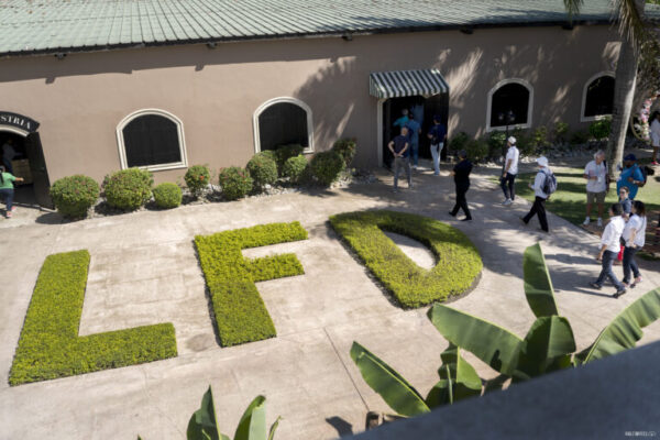 Tabacalera La Flor Procigar 2025 Feature 768x512 dcLJNB