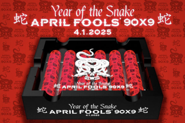 Asylum April Fools 2025 Year of the Snake 768x512 UBw0w3